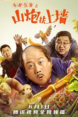 《东北喜事之山炮扶上墙》全集高清完整版在线观看与剧情解析