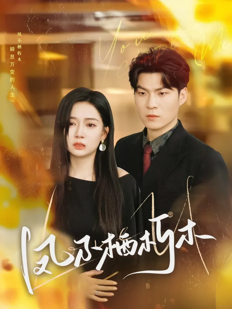 《凤不栖朽木》全集高清完整版在线观看与剧情解析