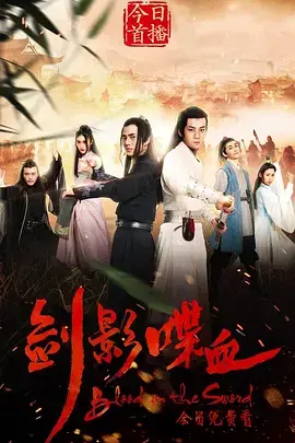 《剑影喋血》全集高清完整版在线观看与剧情解析