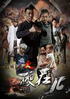 《岭城兄弟情》全集高清完整版在线观看与剧情解析