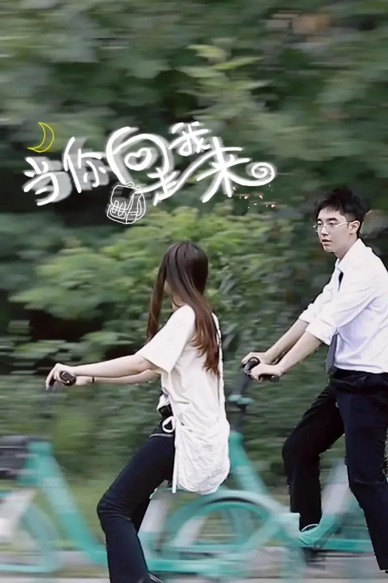 《当你向我走来》全集高清完整版在线观看与剧情解析