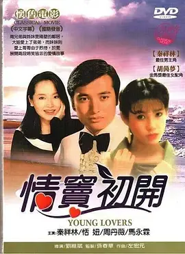 《情窦初开1978》全集高清完整版在线观看与剧情解析