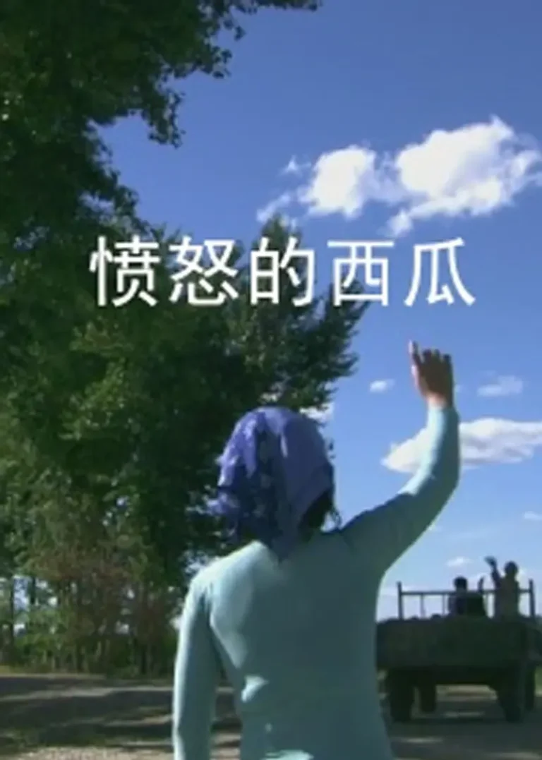 《愤怒的西瓜》全集高清完整版在线观看与剧情解析