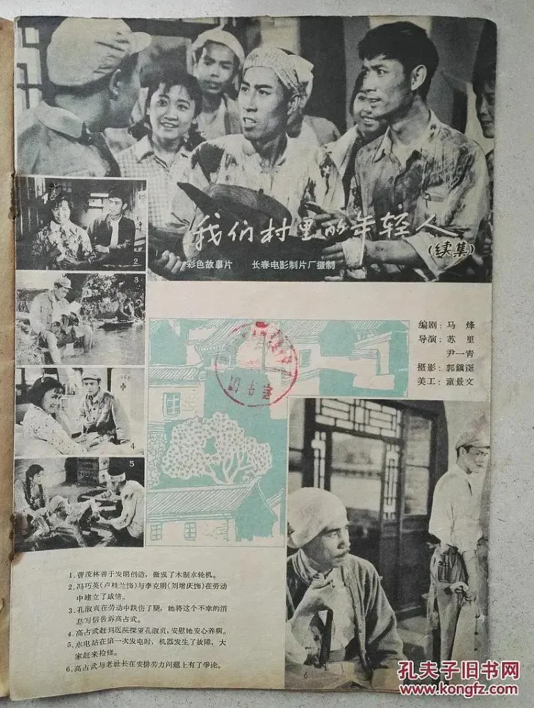 《我们村里的年轻人（续集）》全集高清完整版在线观看与剧情解析