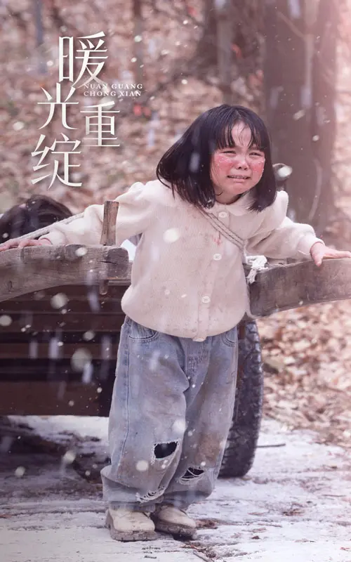 《暖光重绽》全集高清完整版在线观看与剧情解析