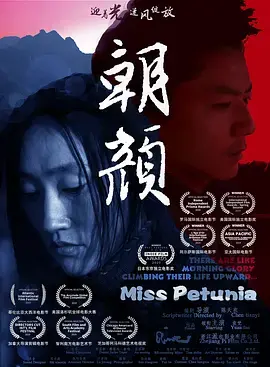 《朝颜2020》全集高清完整版在线观看与剧情解析