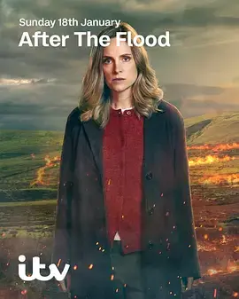《洪水之后第二季》全集高清完整版在线观看与剧情解析
