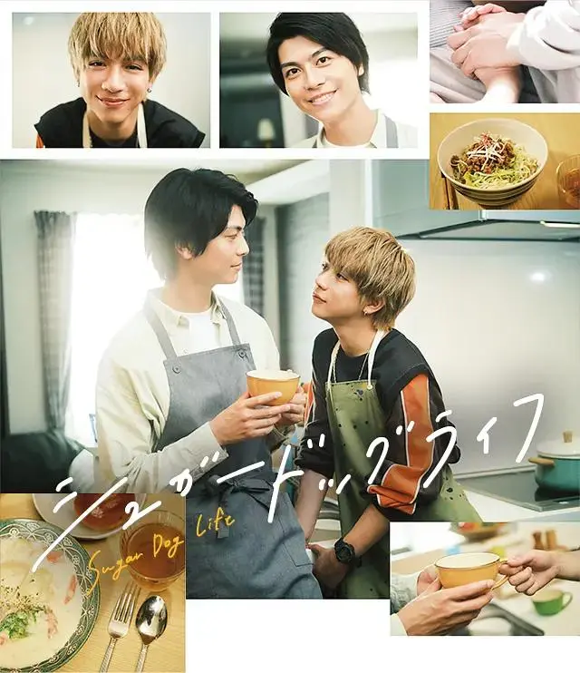 《甜蜜喂食生活》全集高清完整版在线观看与剧情解析