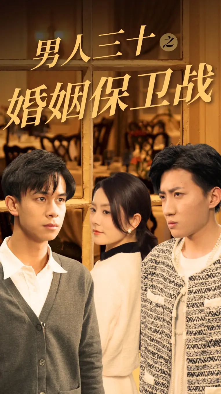 《男人三十之婚姻保卫战》全集高清完整版在线观看与剧情解析