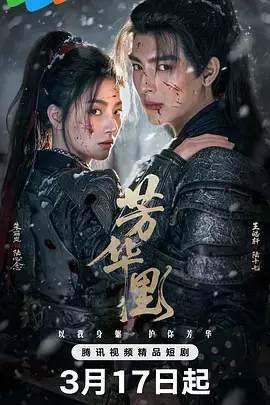 《芳华里》全集高清完整版在线观看与剧情解析