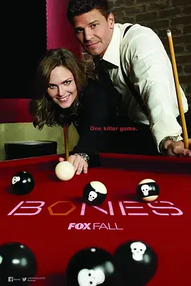 《识骨寻踪第十季》全集高清完整版在线观看与剧情解析