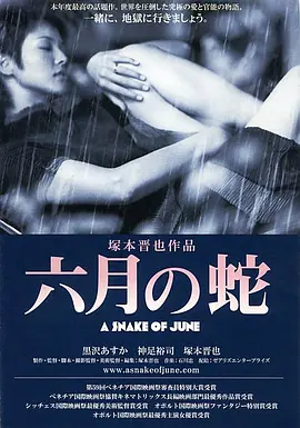 六月之蛇[电影解说]