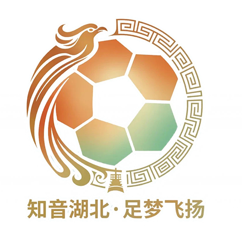 湖北省城市足球联赛 荆州恒隆队VS襄阳东风风神队20260614
