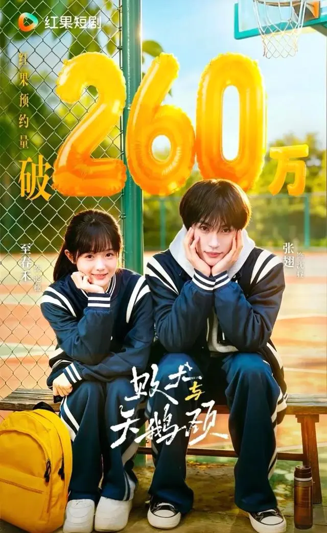 《野荷荒长》《败犬与天鹅颈》等短剧聚焦青春重逢与身份落差 - 相关图片