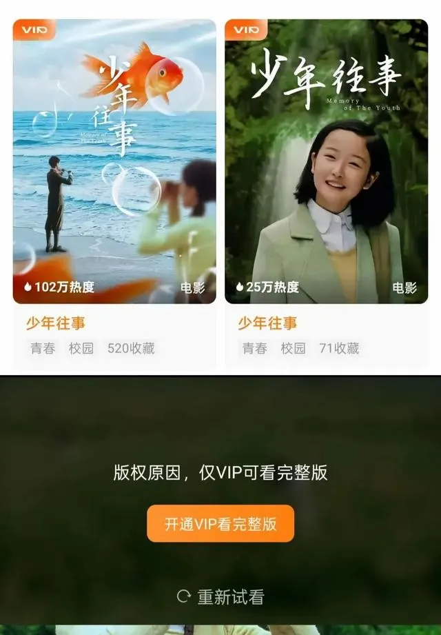 红果平台上线《少年往事》VIP付费观看模式 - 现场图